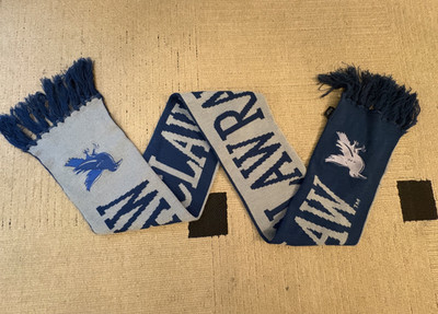 Universal Studios Harry Potter Ravenclaw Scarf