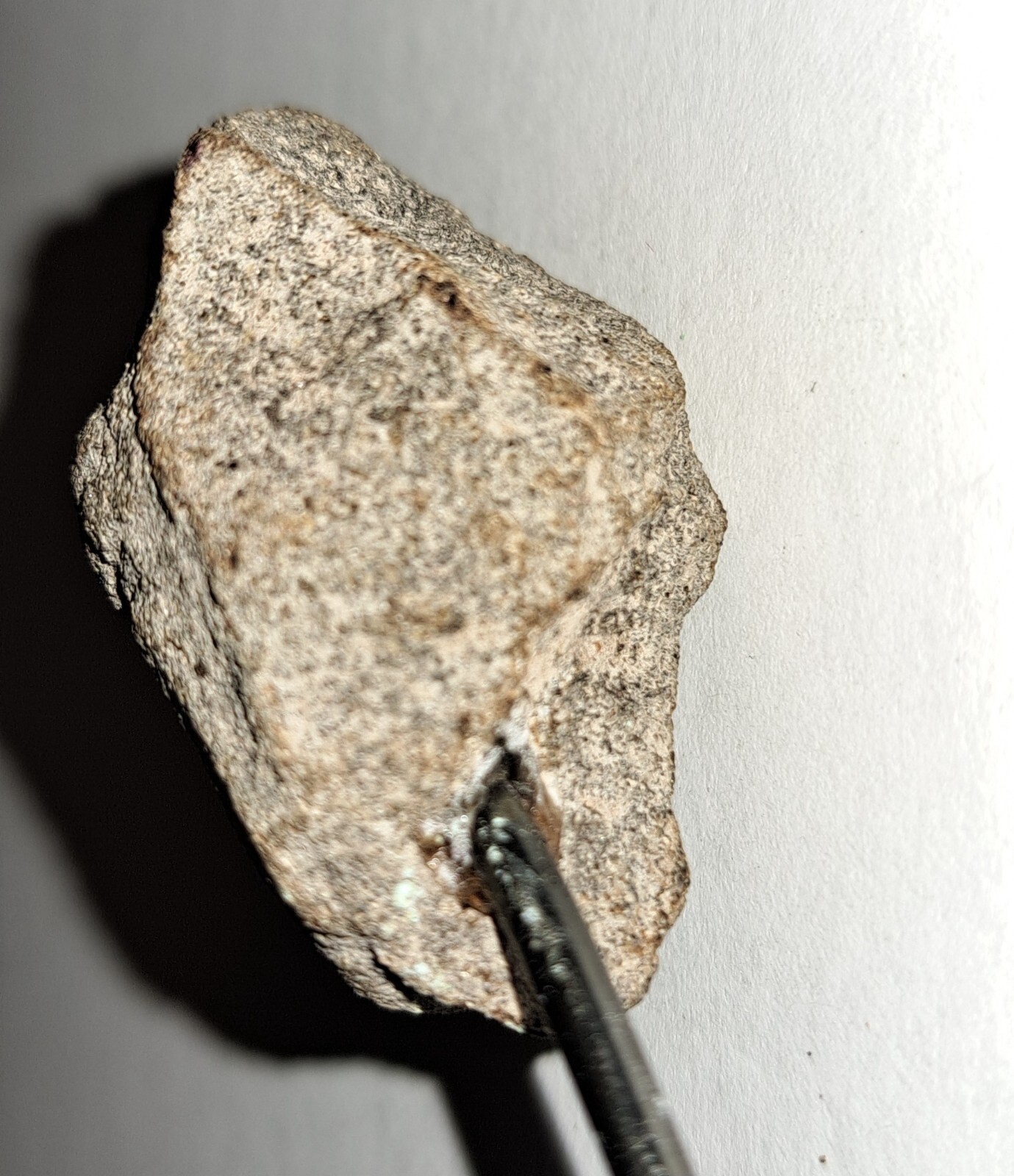 11th/12th C. Angkor Wat Cambodian Stone Sculpture Deity Head