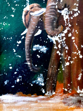 Original Painting Elephant portraits tropical African landscape Art