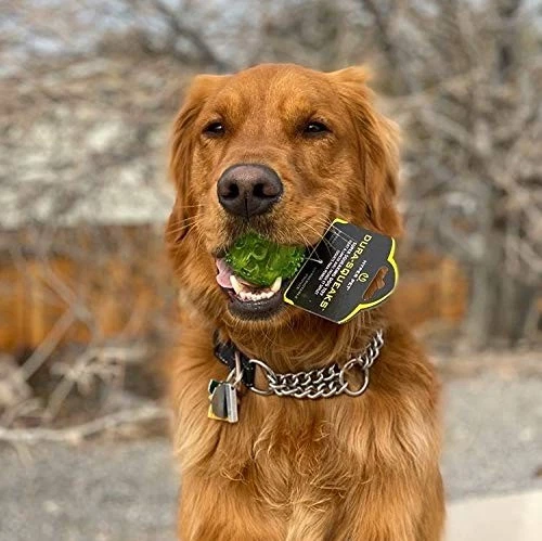 Bola HYPER PET Dura-Squeaks Foto 4 de 4