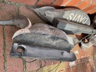 Vtg Duck Decoys Plastic Hollow Body Hunting Mallard Plastic Lot-10 Fowl & Book — photo 6