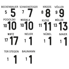 Deutschland Flock 125 Jahre DFB 2025 für weißes und blaues adidas Trikot