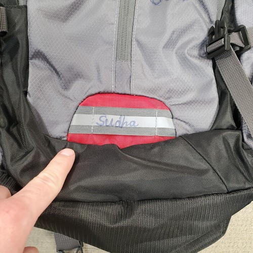 SilverSea Expeditions Backpack Gray Red Padded Bag Travel Multiple Zip Pockets - Picture 3 of 13