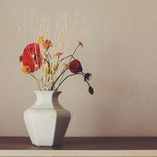  5 Pezzi Rami Artificiali Decorazione Ramo Decorazioni Vacanze Per Casa