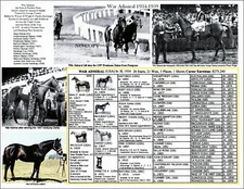 Horse Racing WAR ADMIRAL Triple Crown 4th winner photos picture pedigree chart S