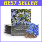 Easy-Grow Forget-Me-Not Seed Packets | Perfect for Life Celebrations - 25 Count