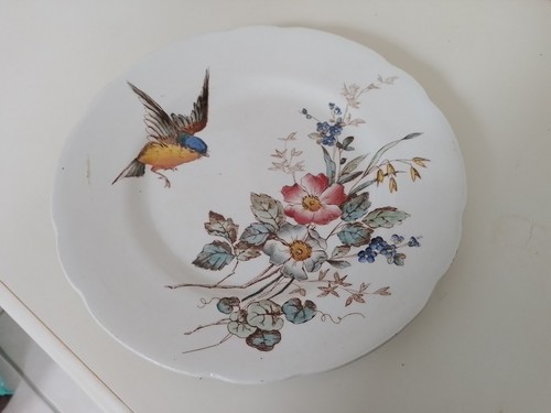 Assiette polychrome Terre de Fer Choisy le Roi HB & Cie Oiseau et