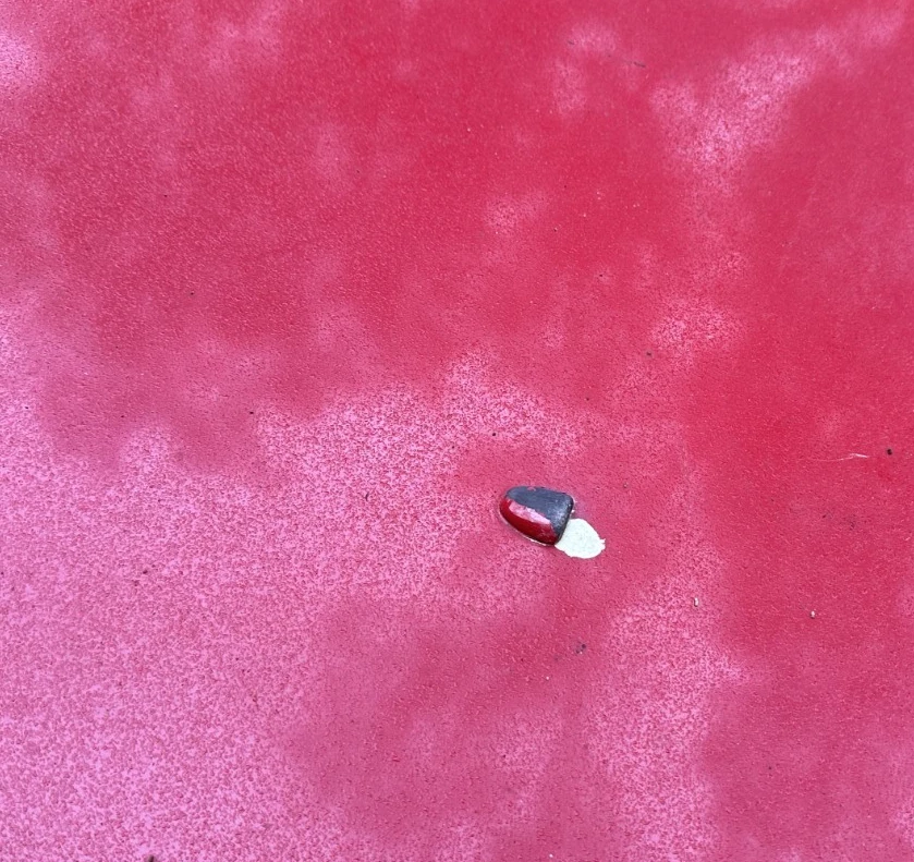 05-09 Ford Mustang rojo brillante capó delantero con revestimiento de capó OEM Foto 4 de 4