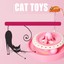 thumbnail 10 - Cat Toy New Crazy Play Interactive Fun Game Spring Mouse Moving Ball Round Disk
