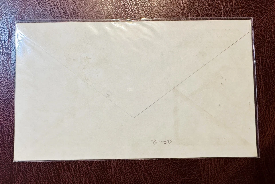 1970 Южный Вьетнам FDC марка птицы (CAC LOAI CHIM) сайгон почтовая марка - Изображение 2 из 2