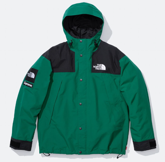 Supreme The North Face Mountain Jacket 2024 FW Week9 Blue Green