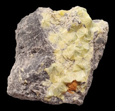 Wavellit xx ⚒ Reust - Regione di Ronneburg, Turingia