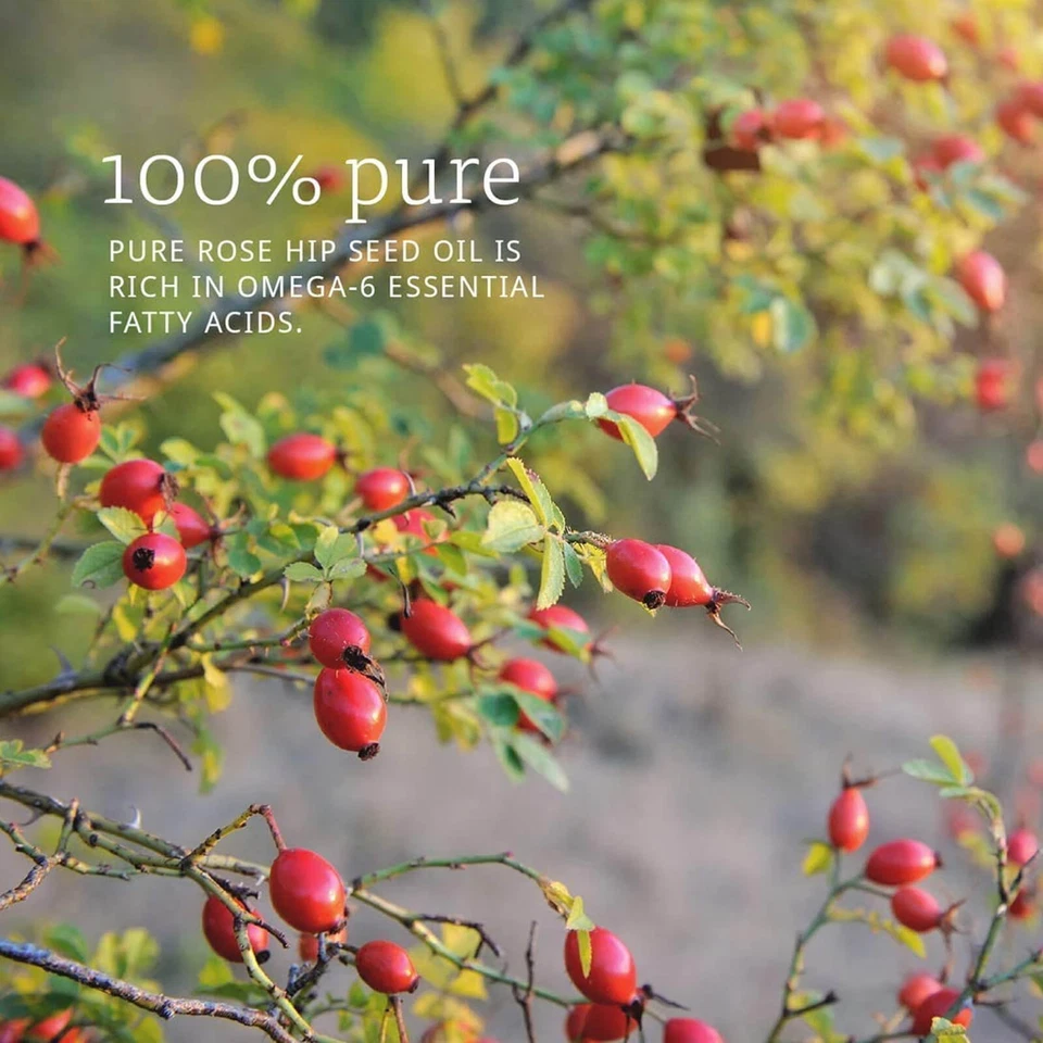 Aceite de semilla de rosa mosqueta NOW FOODS 1 fl oz Foto 4 de 4