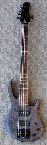 Gibson EB 5-String Electric Bass Guitar USA Model From JAPAN