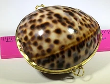 TRINKET BOX LEOPARD COWRY SHELL JEWELRY BOX TRINKET BOX COIN BOX PILL BOX
