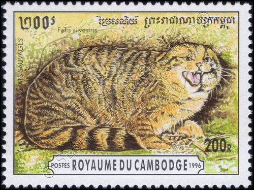 Gatti piccoli (MNH) - Foto 3 di 7