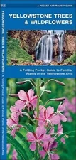 YELLOWSTONE TREES & WILDFLOWERS: A FOLDING POCKET GUIDE TO By James Kavanagh