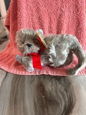Ty Beanie Baby - BEANI the Grey Cat 8 Inch NEW MWMTs Stuffed Animal Toy