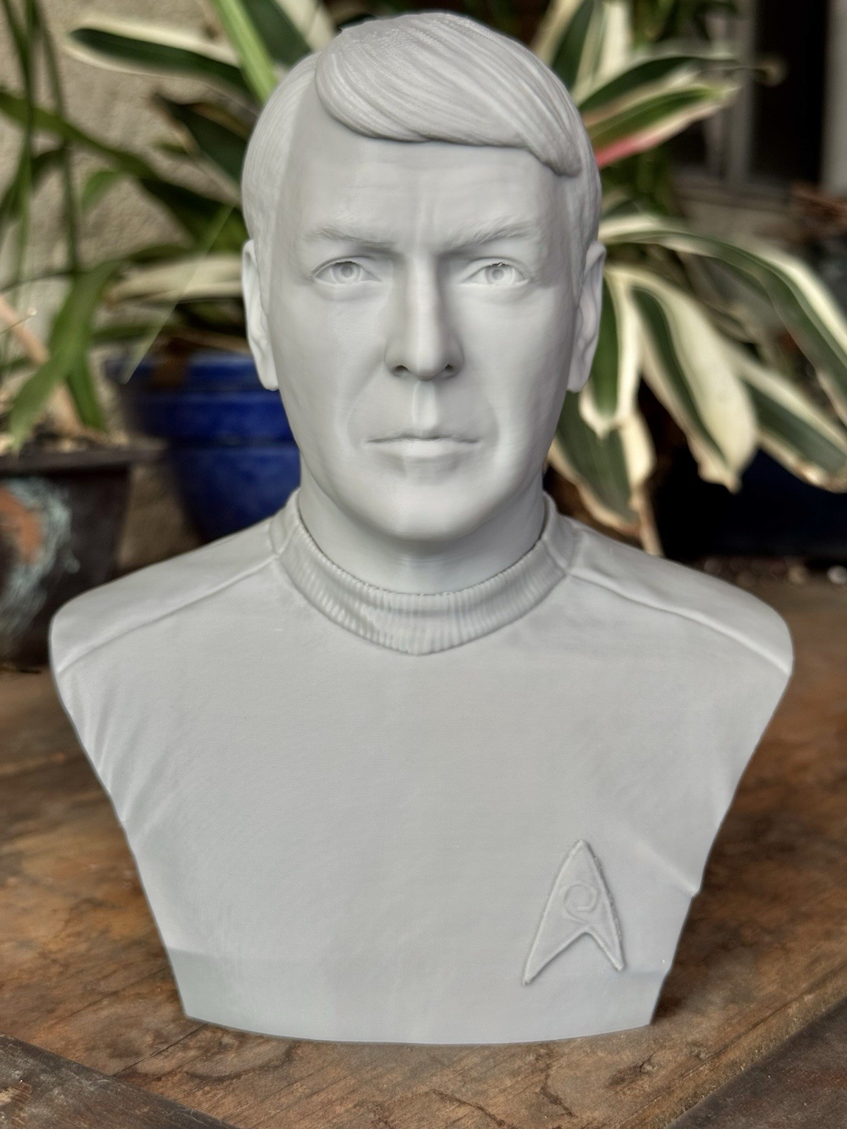 Star Trek TOS Busto Set 6,5” Statue Stampate in 3D Collezione Sci-Fi Crew 6pz foto 3