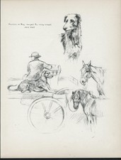 DEERHOUND LURCHER ON A CART VINTAGE 1937 DOG ART PRINT by ARTIST K F BARKER