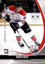 2012-13 ITG Heroes and Prospects Top Prospects #TP12 Derrick Pouliot  (rf 22666)