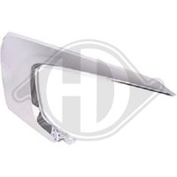 Zier /Schutzleiste StoßFäNger Diederichs 5835243 FüR Mitsubishi Vorne Links