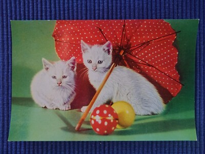 old postcard postcard 2 cats domestic cats kitten white umbrella ball