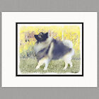 Keeshond in Aspen Original Art Print 8x10 Matted to 11x14