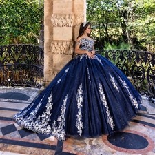 Navy Blue Quinceanera Dress Silver Lace Applique Bead Corset Sweet 16 Ball Gown