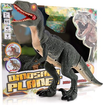 Kids Walking Dinosaur Toy with Shaking Head, Light Up Eyes