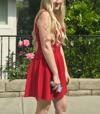 Bebe S Small Flare Dress Red Knit Ribbed Graduation Prom Party Sexy  Feminine | eBay