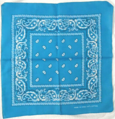 CHALLENGER 14周年 BANDANA s-l400.jpg