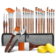 29 pcs Paint Brush Set,Acrylic Paint Brushes,Artist Series with Wide Flat,Rou...
