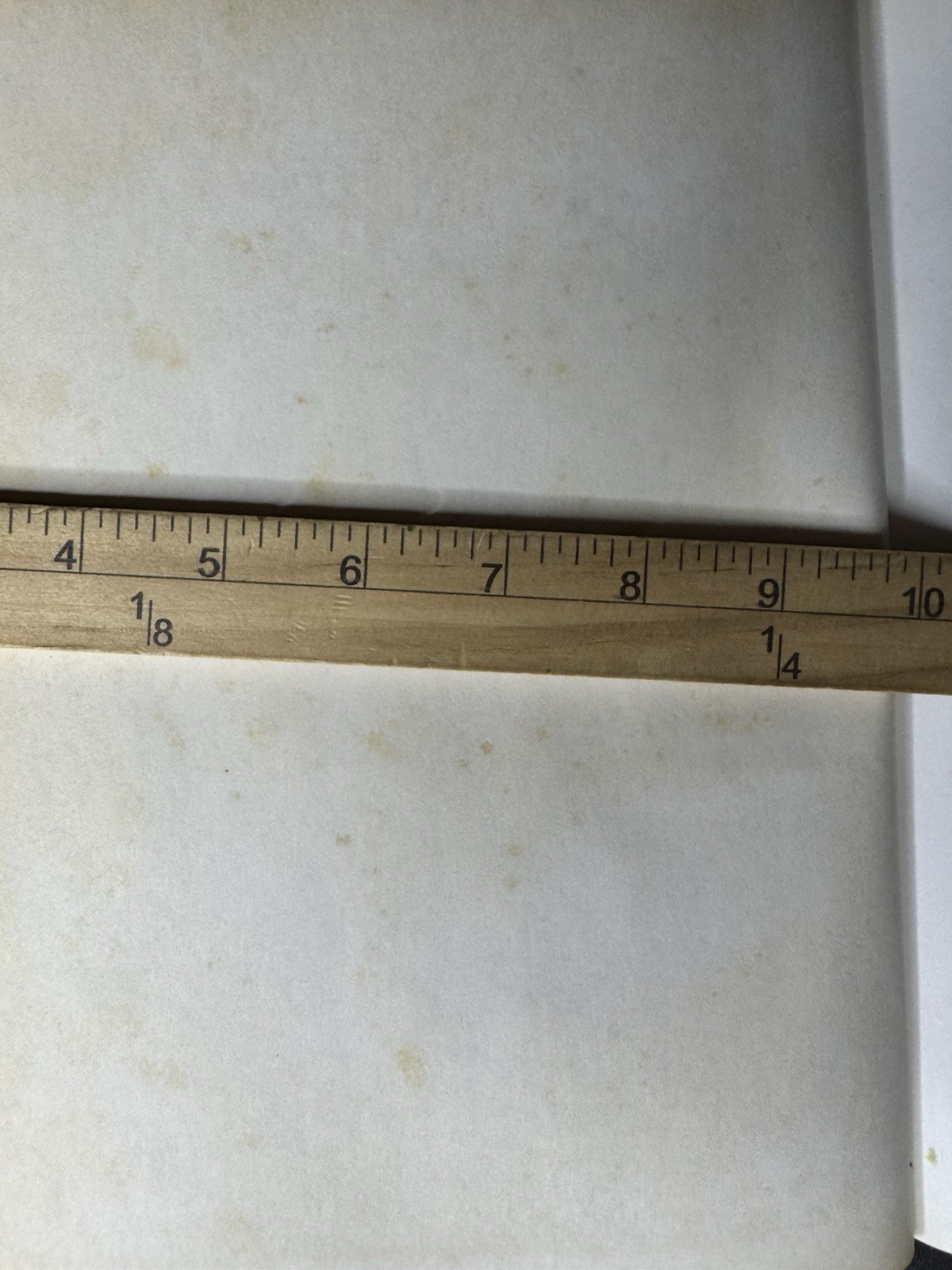 Picture 12 of 12