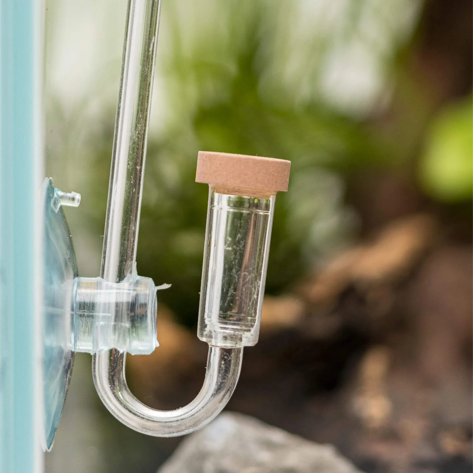 Impianto Bio CO2 Dennerle Starter Kit per Acquario foto 5
