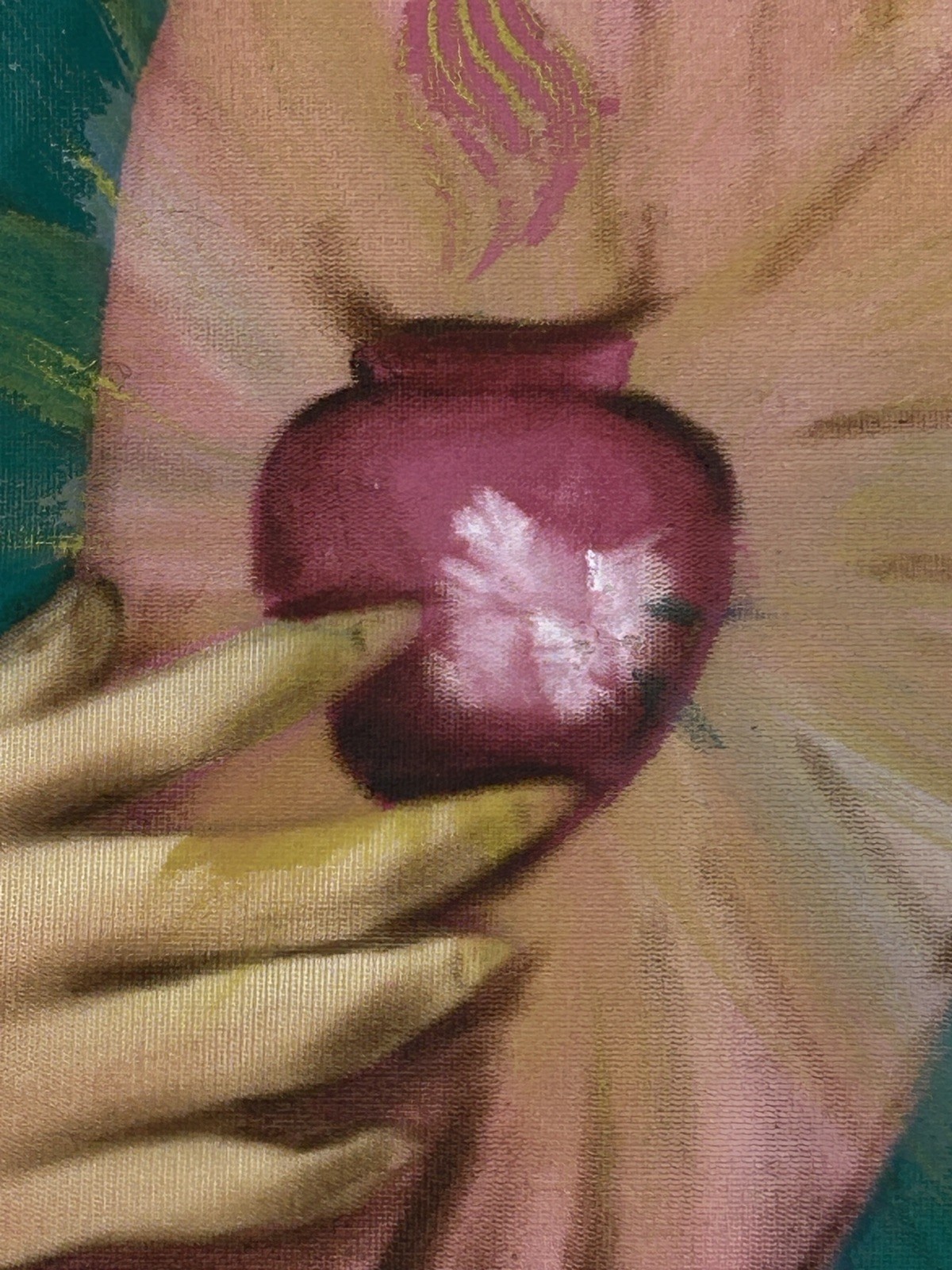Picture 12 of 15