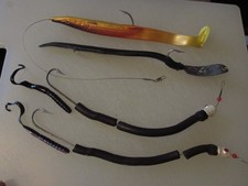 Striped Bass EELS (4) Alou RED GILL (ENGLAND) & hard Surg Tube eels