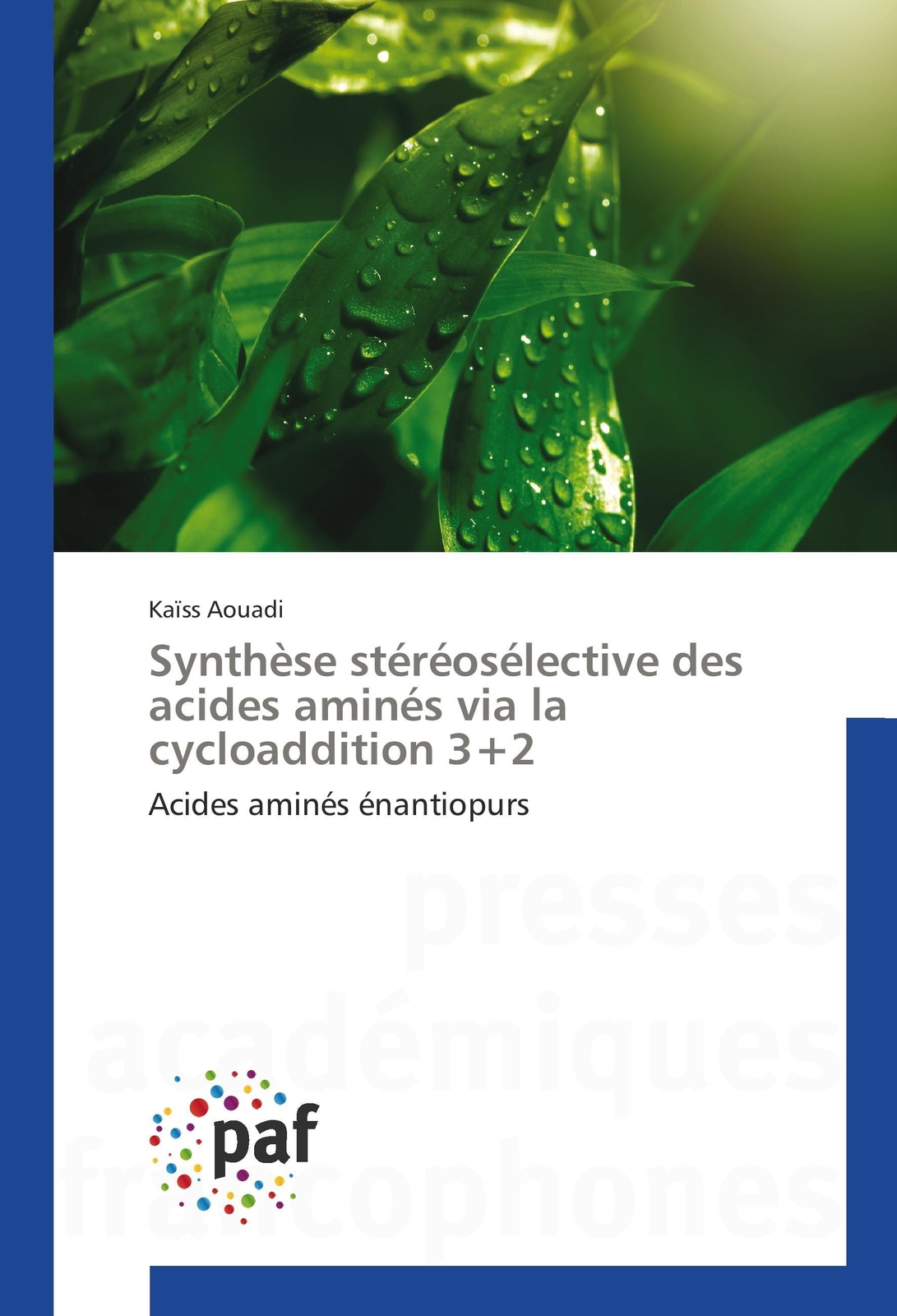 Thumbnail - Kaïss Aouadi | Synthèse Stéréosélective Des Acides Aminés Via La...