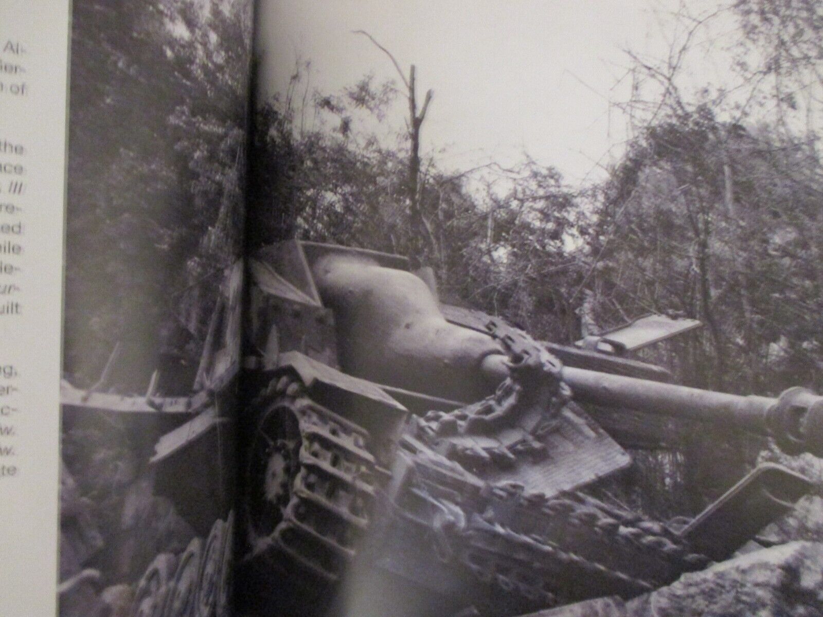 Picture 3 of 17