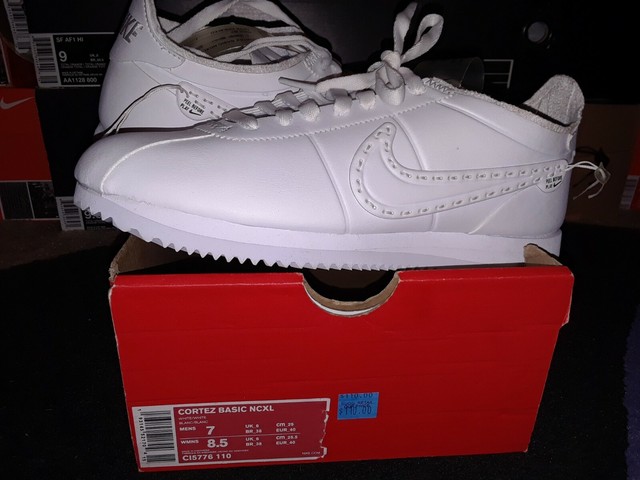 cortez basic ncxl