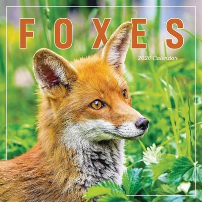 CAROUSEL WORLDWIDE Foxes Calendar 2026 - Animal - Month To View