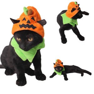 cat pumpkin costume
