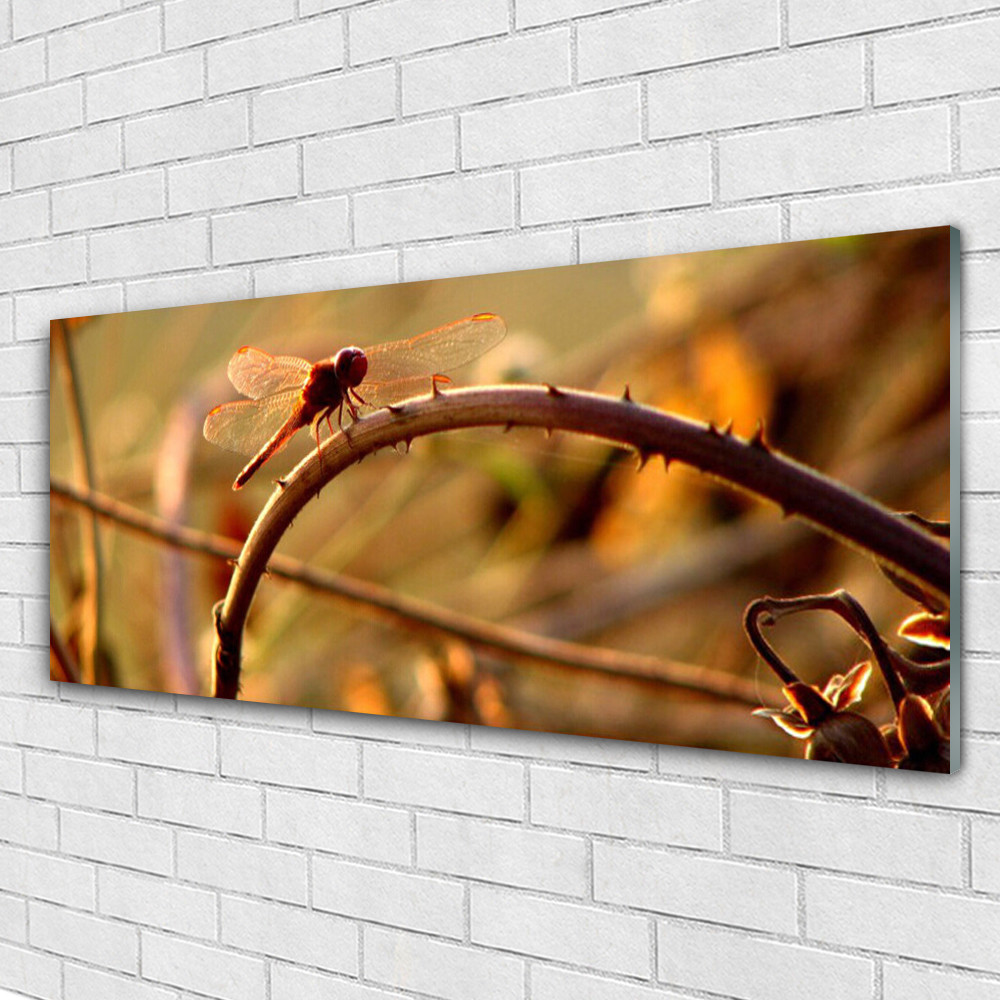 Image nature libellule verre acrylique pour salon zen 125x50