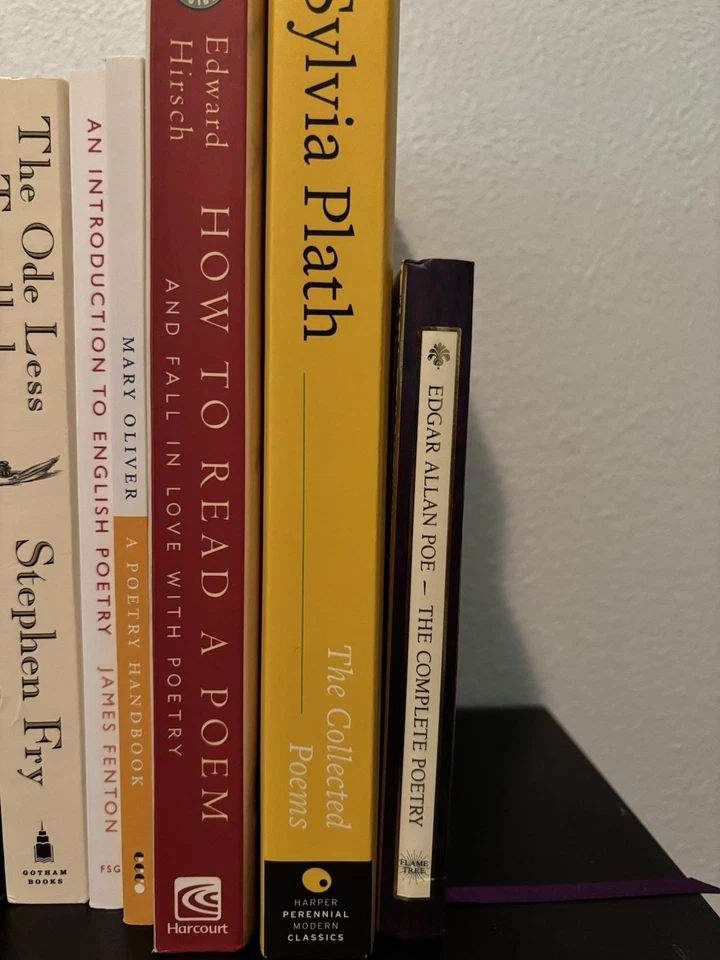 Lot of New Poetry Books (GOOD VALUE) - Image 4 of 4