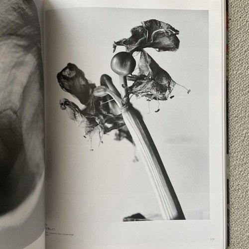 Libro de fotos de exposición de flores promiscuas Robert Mapplethorpe y Nobuyoshi Araki - Imagen 9 de 9