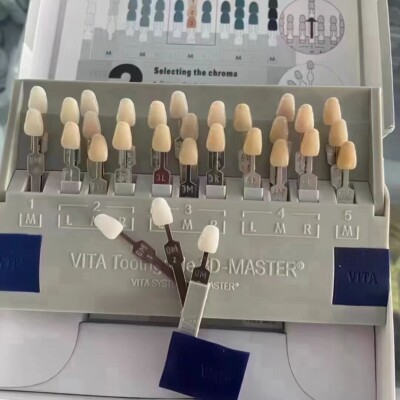 Dental VITA Toothguide 3D Master with Bleached Shade Guide Resin
