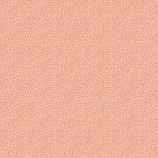 Michael Miller Fabric~Sunshine Circles~Peach~Summer Dreams~CX11212~BTY~Blender