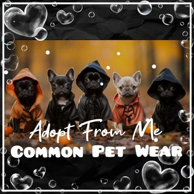  Adopt (All Stuff) Today!    Common    Cheap & Cute    PET WEAR   