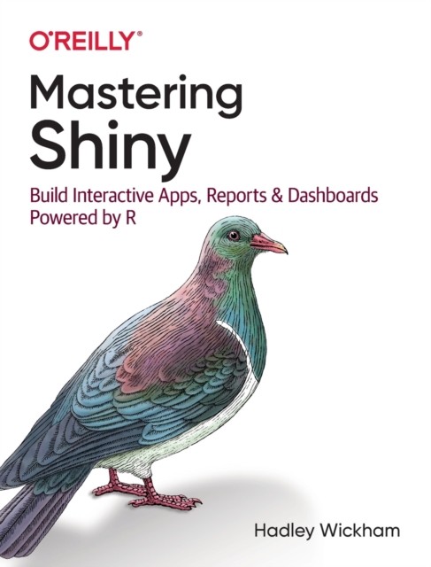 Mastering Shiny: Build Interactive Apps, Reports, and Dashboards Powered by R - Image 3
