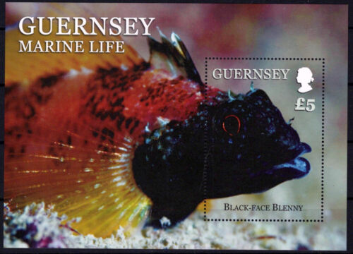 ZAYIX Guernsey 1200 MNH Marine Life Fish 080323SM74M - 第 1/1 張圖片